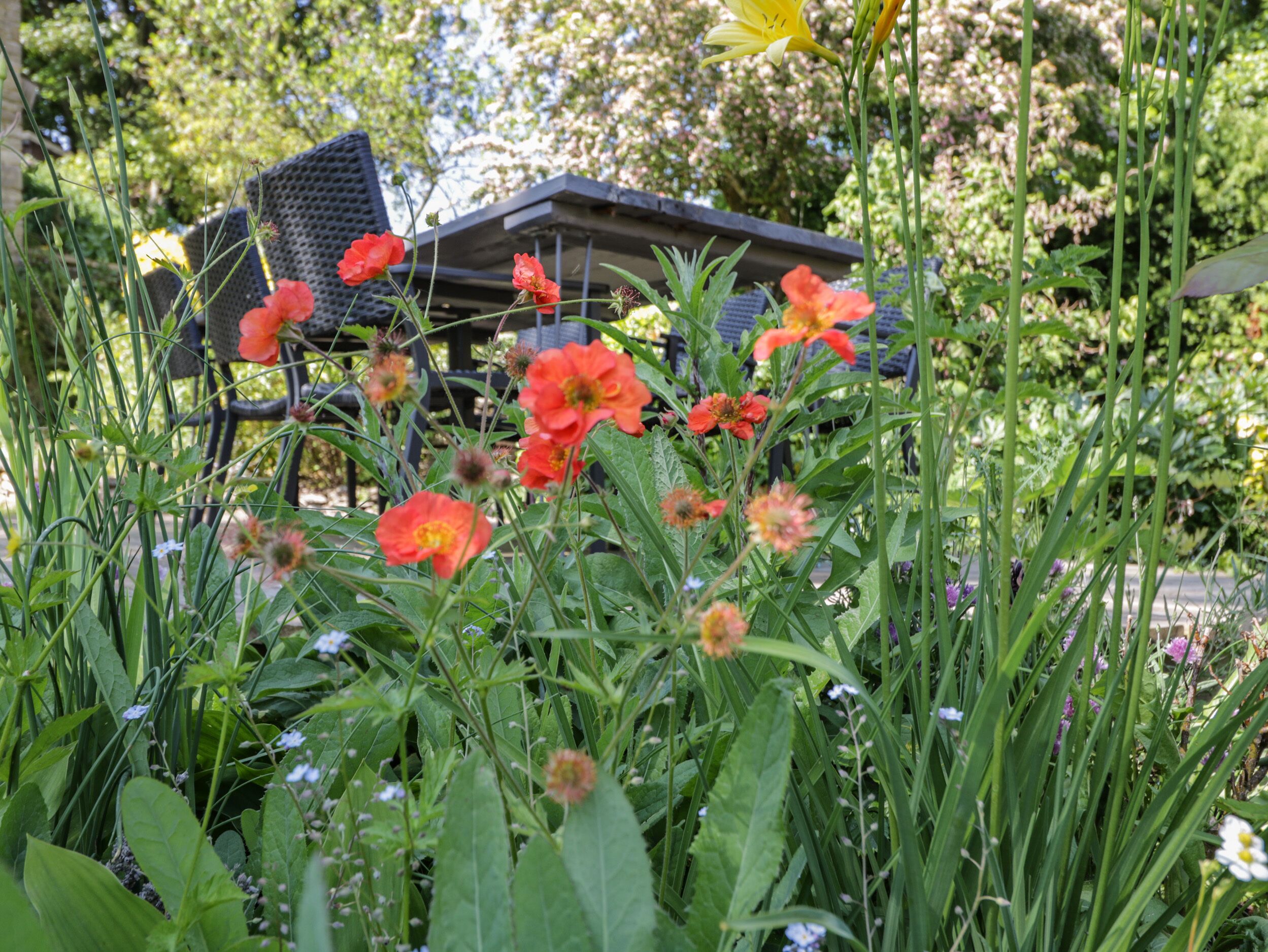 A garden with various plants and flowers, a chair, and a building in the background.