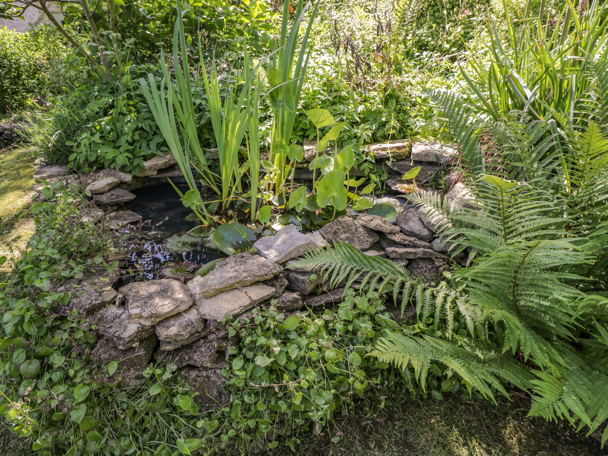 Un jardin avec un étang, entouré de rochers et de différentes plantes.