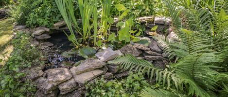 Un jardin avec un étang, entouré de rochers et de différentes plantes.