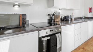 Apartemen Superior, akses difabel, kamar mandi pribadi (Luxury Eco) | Dapur pribadi