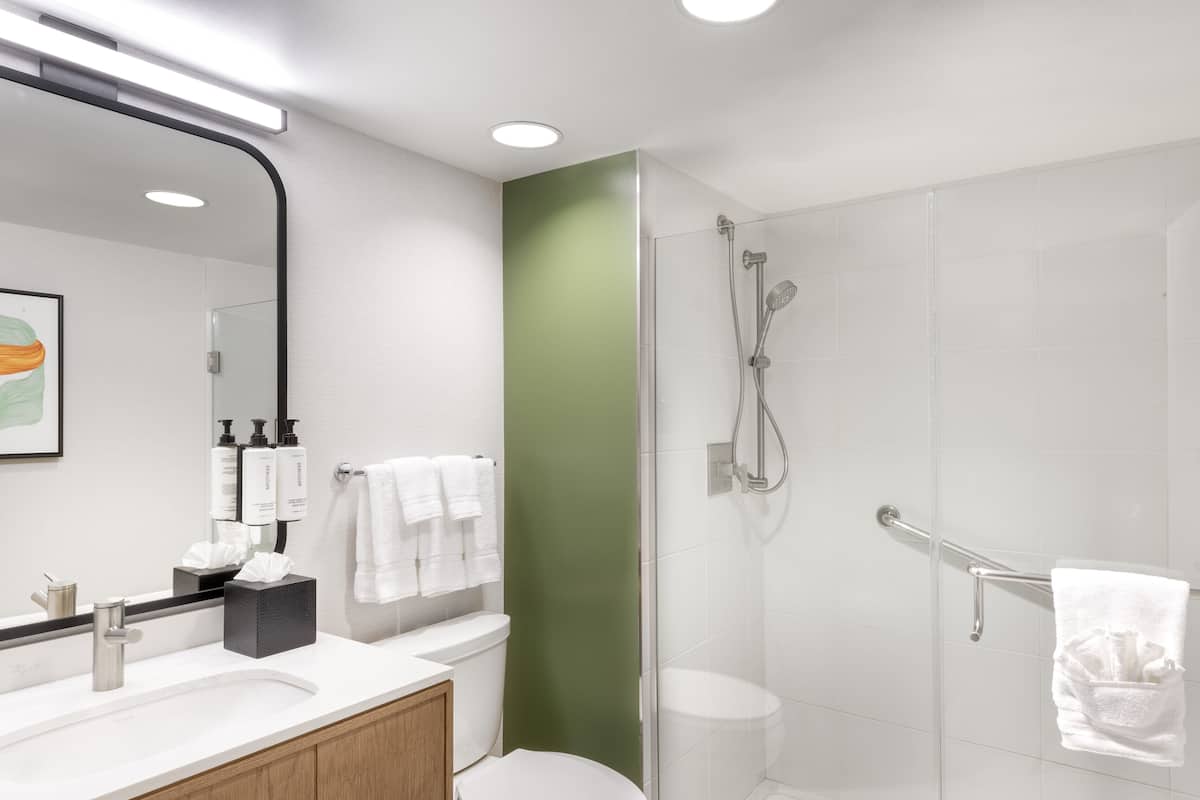 Designer-hygieniatuotteet, hiustenkuivaaja, pyyhkeet, saippua