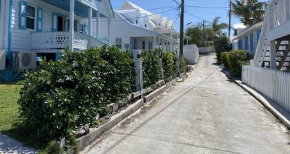 Pa Willie’s - Locally owned historic cottage conveniently located with dock.