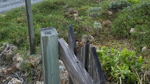 Nær stranden og strandhåndklær