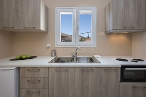 Fridge, oven, coffee/tea maker, electric kettle