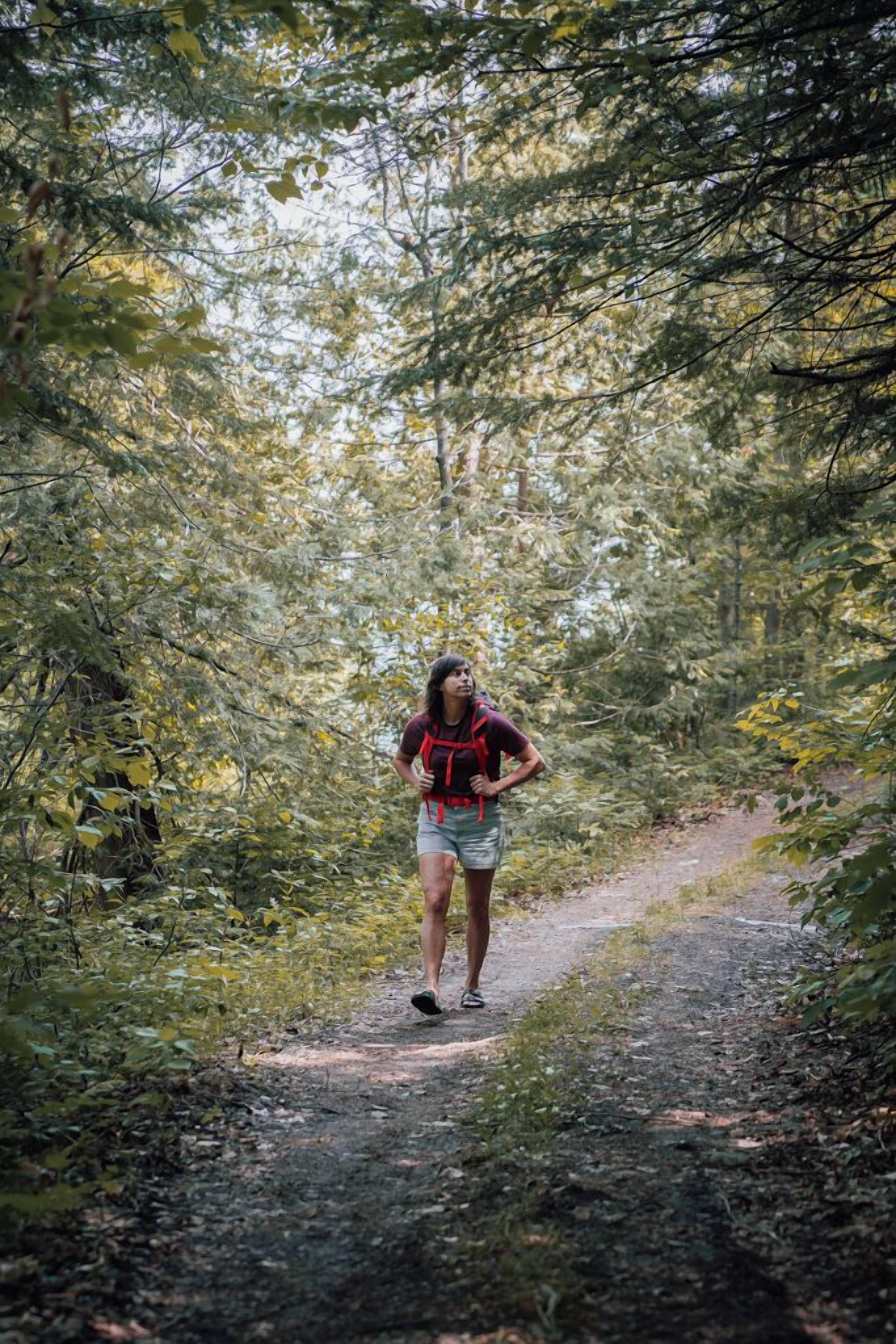 A person walking on a forest trail.