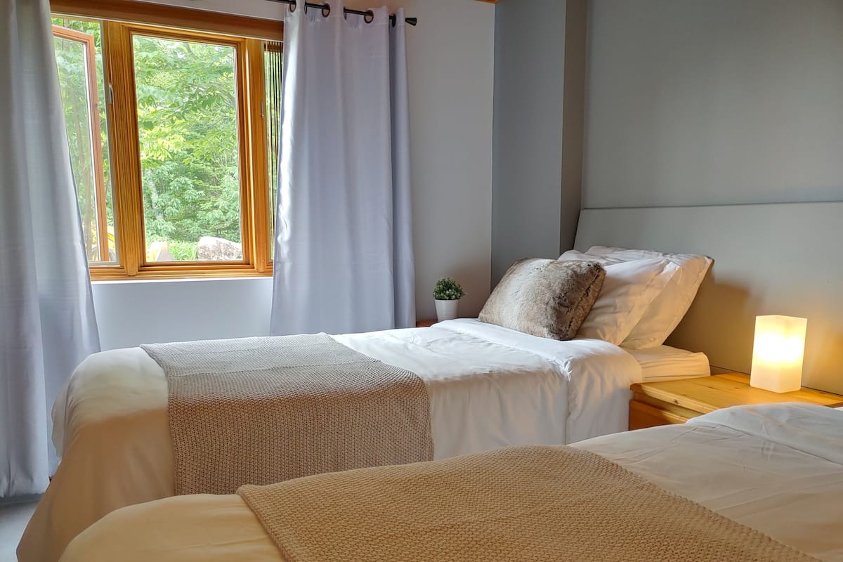 A bedroom with two beds, a nightstand with a lamp, a window with curtains, and a small potted plant.