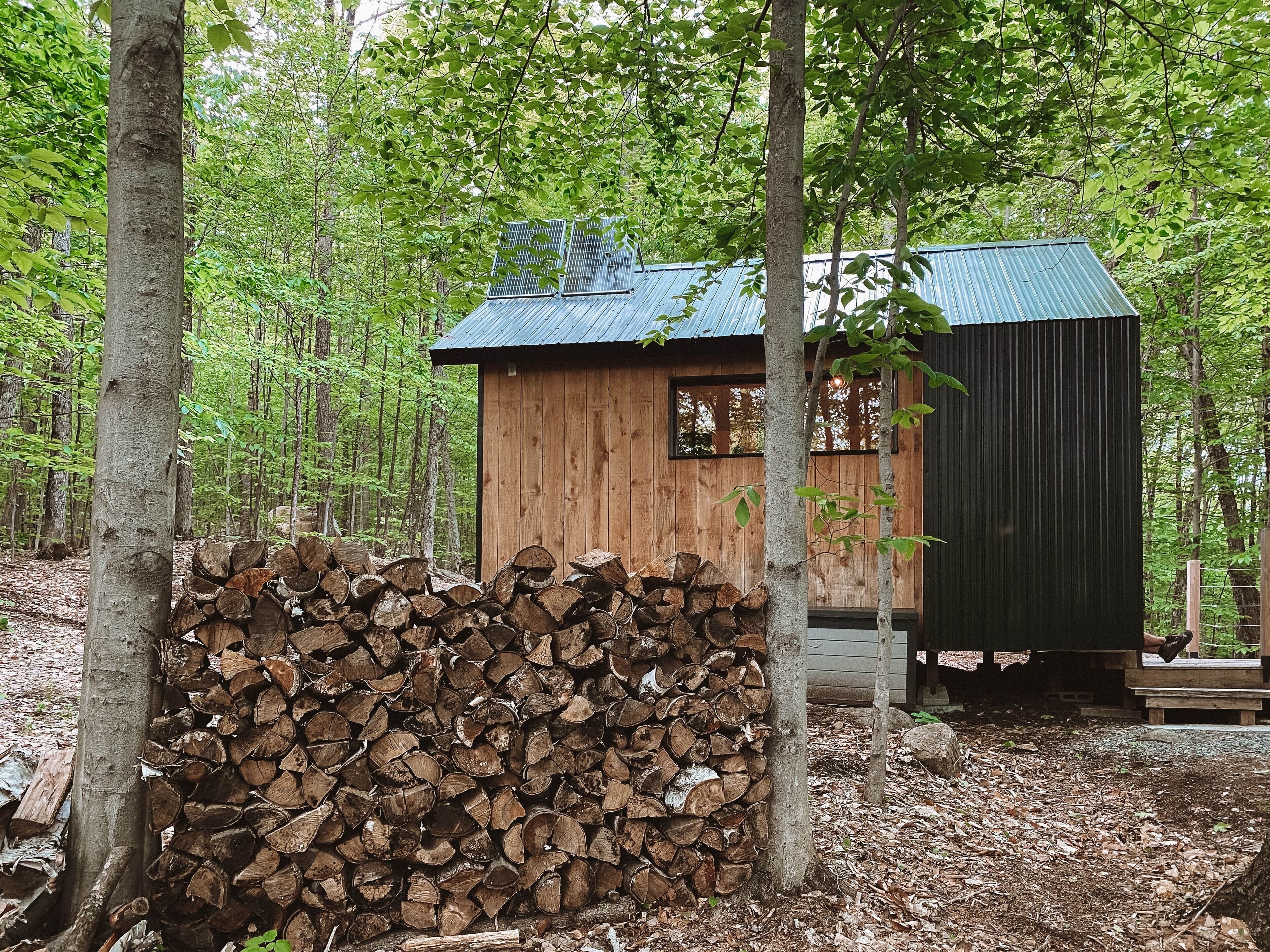 Une cabane rustique, avec une façade en bois et un toit en métal, entourée d’une forêt.