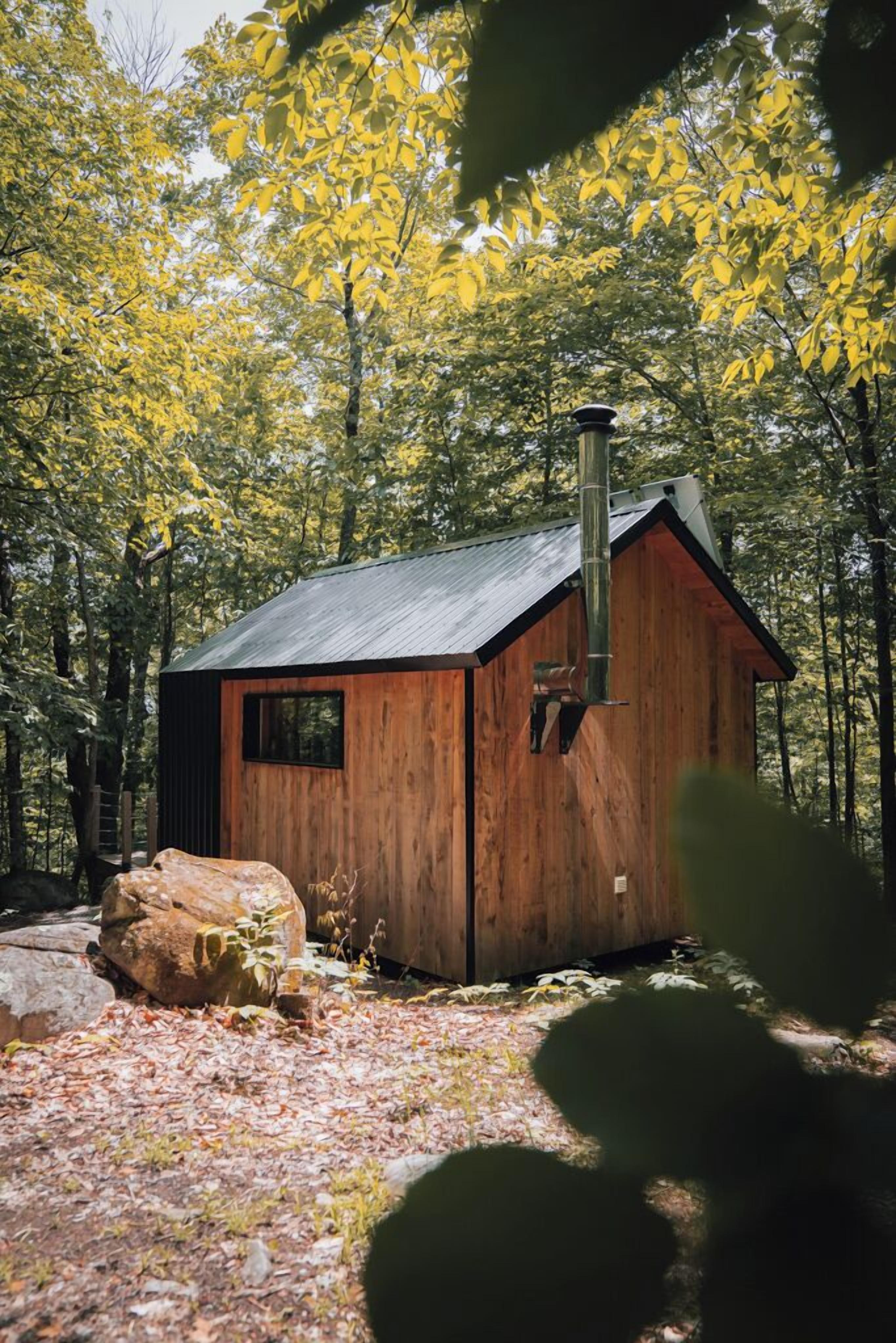 A rustic cabin with a metal roof, surrounded by a forest.