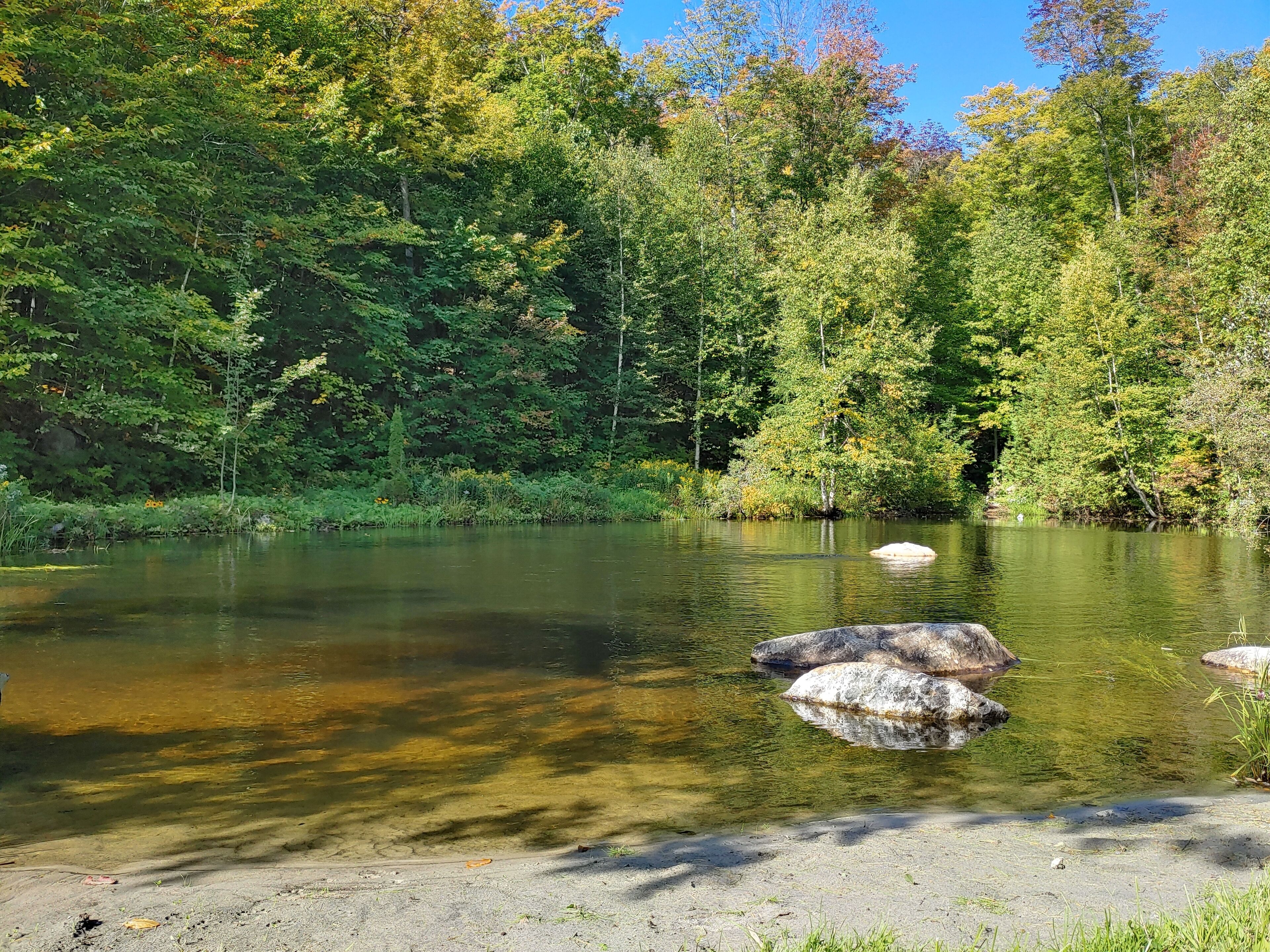 Ein Fluss mit klarem Wasser, umgeben von dichtem Wald und Felsen.