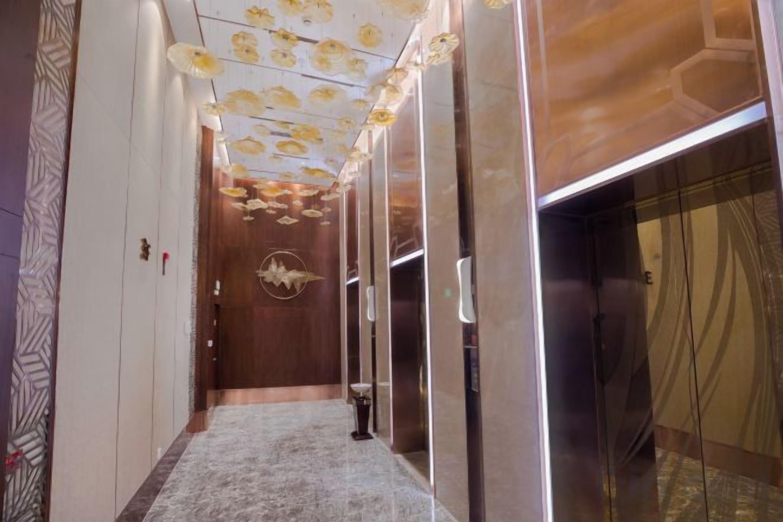 Un corridoio con parete decorata, una porta in legno e un ascensore in vetro.