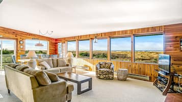 电视、壁炉、DVD 播放器、书