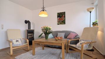 Smart TV, fireplace, books