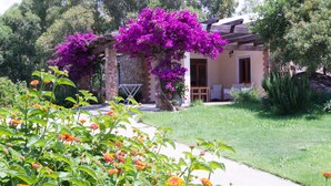 A house with a garden, a pergola covered with purple flowers, and a lawn. - Suestellas, House quiet, relaxing, wifi, eco-friendly, surrounded by greenery (Teulada)