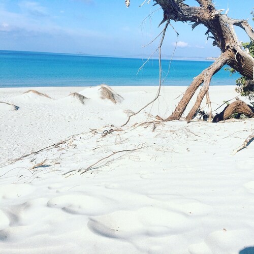 Suestellas, House quiet, relaxing, wifi, eco-friendly, surrounded by greenery