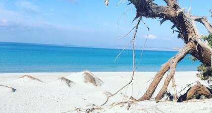 Suestellas, House quiet, relaxing, wifi, eco-friendly, surrounded by greenery