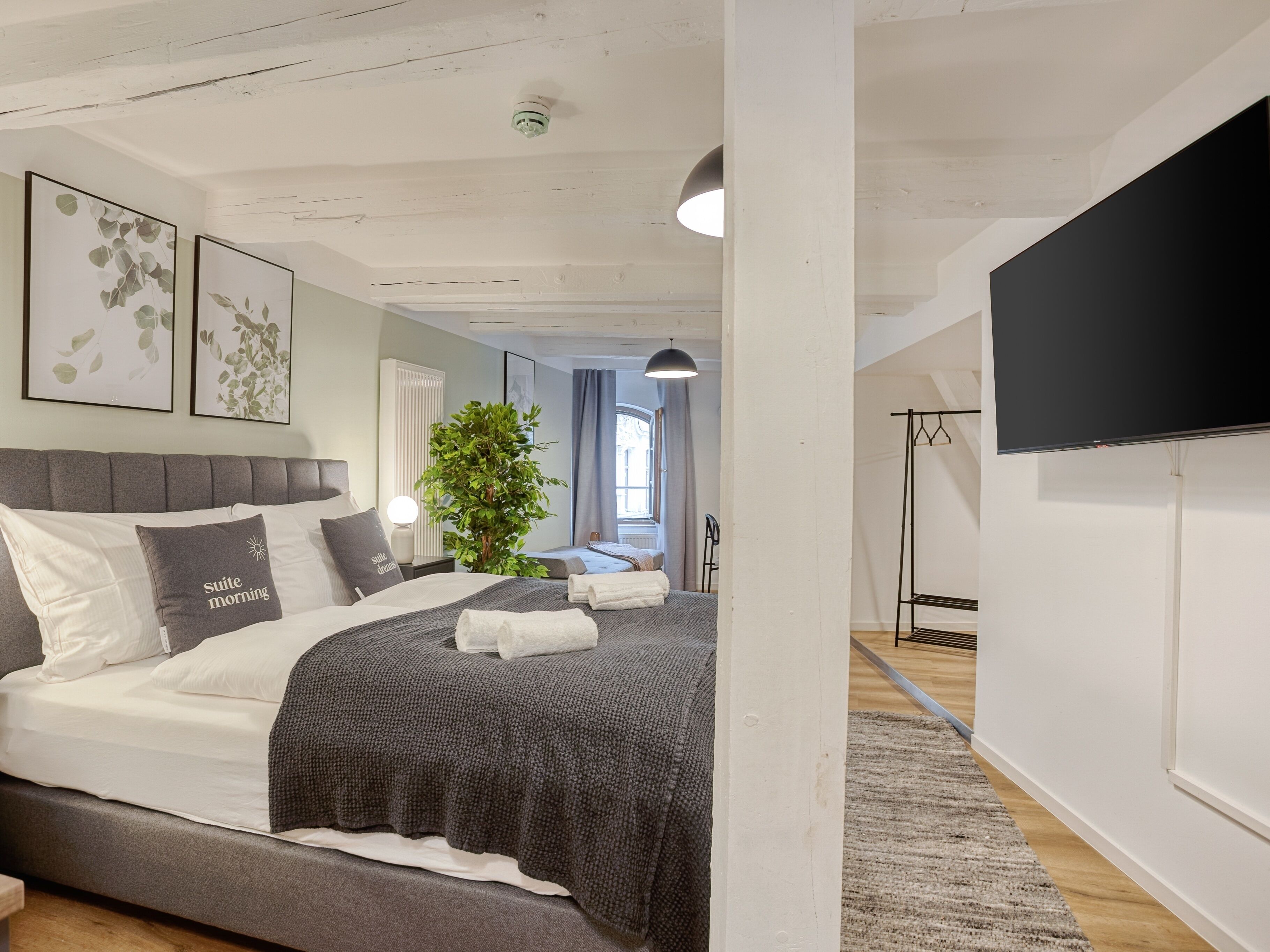 A modern bedroom with a large bed, a potted plant, and a flat-screen TV.