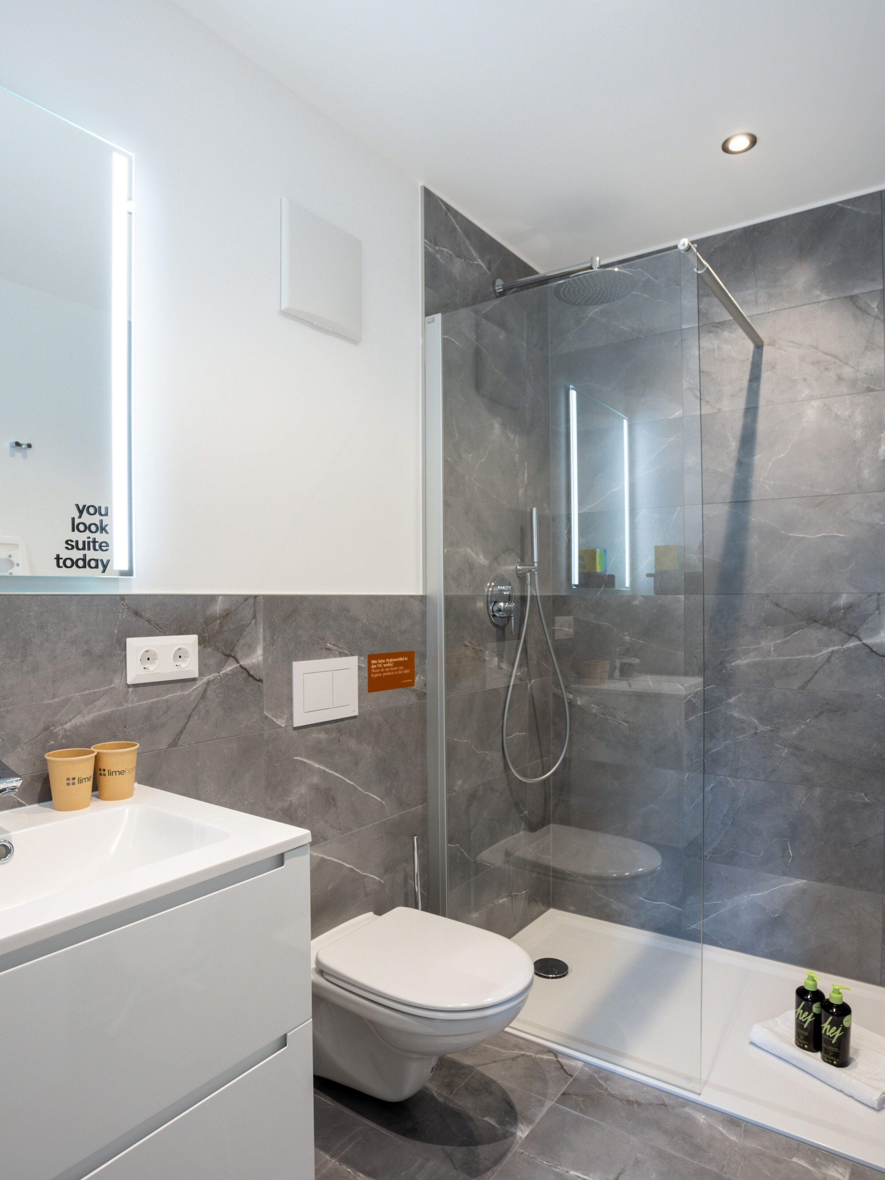 A modern bathroom with a glass-enclosed shower, a white toilet, and a vanity with a mirror.