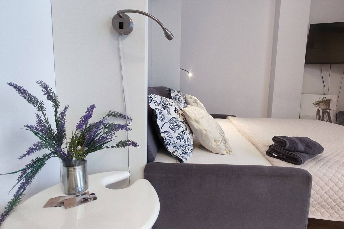 A modern hotel room with a bed, a TV, a desk with a plant, and a chair.