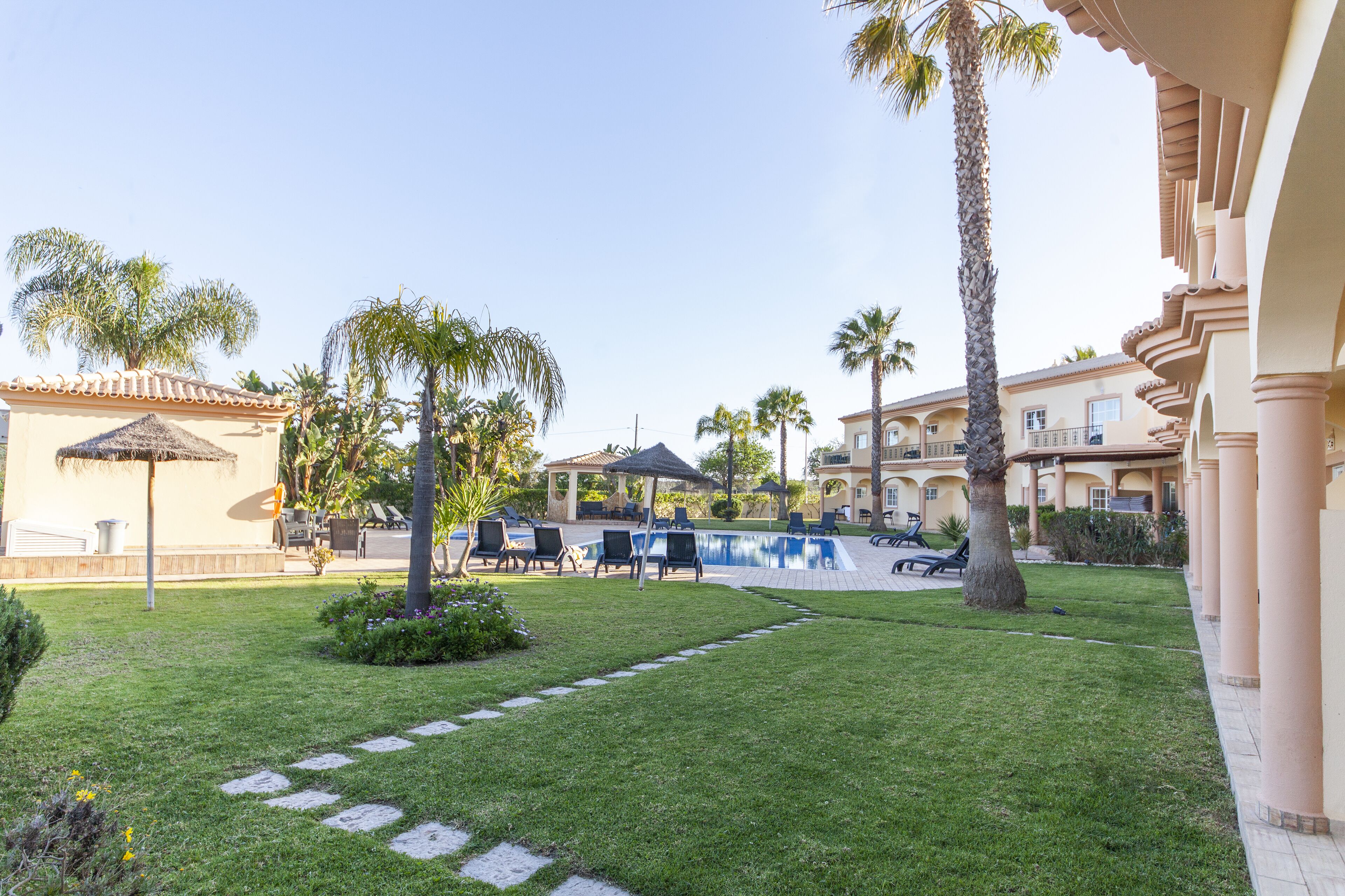 Un patio con piscina, palmeras y sillas de descanso.