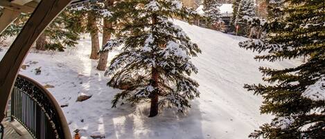 A snow-covered ski slope with trees and a building in the background.