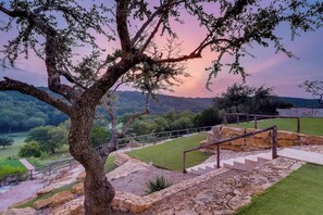 Property grounds - Austin Guitar Pool | 87.5 FT Guitar Pool (Austin)