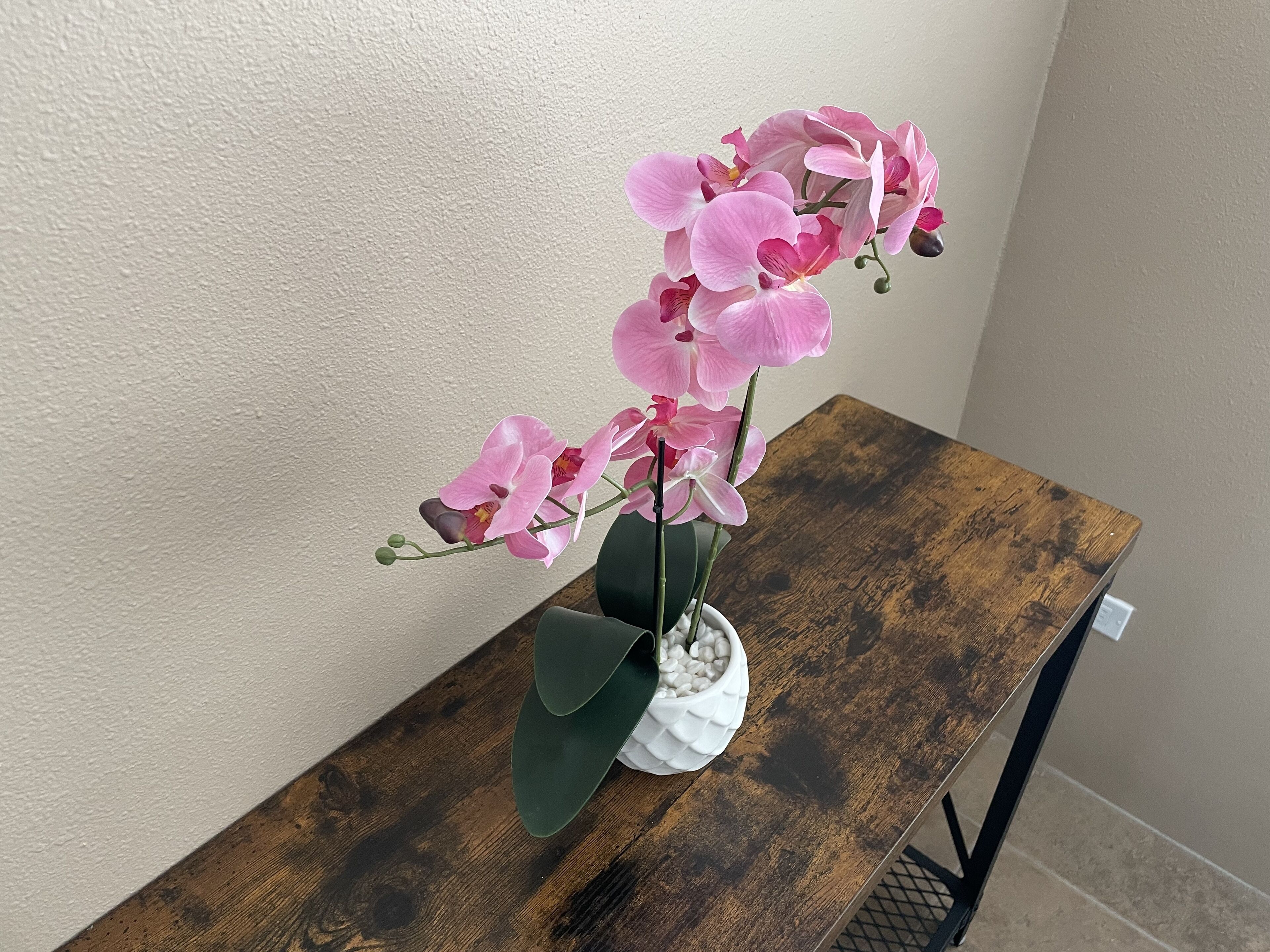 Rosarito Beach Oceanview Townhome: Safe Private Gated Community 