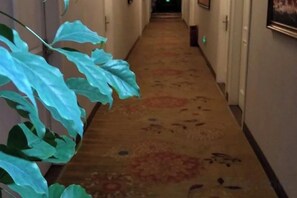 A corridor with patterned carpet, a plant on the left, and a door at the end. - Monai Garden Hotel (Youyang County)