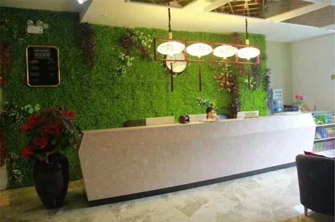 Un espace d’accueil agrémenté d’un mur végétal, d’un comptoir de réception et d’une plante en pot.