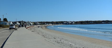 Sun-loungers, beach towels