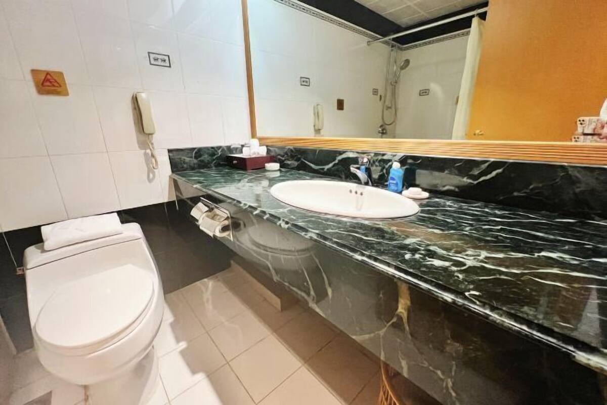 A bathroom with a white toilet, a sink with a marble countertop, and a large mirror.