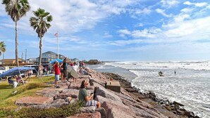 A rocky beach with palm trees, a flag, and people.