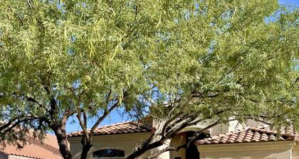 Relax with Sonoran Nature Preserve views plus bike trails & several golf courses