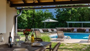 An outdoor pool area with lounge chairs, a covered seating area, and a table with plates and a bottle. - Villa Lirica with Pool (Svetvinčenat)