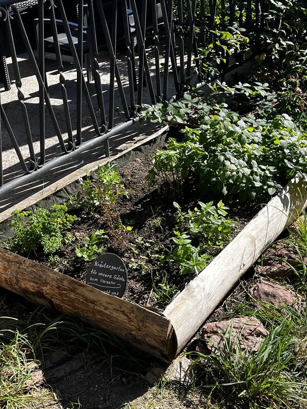 Áreas de la propiedad