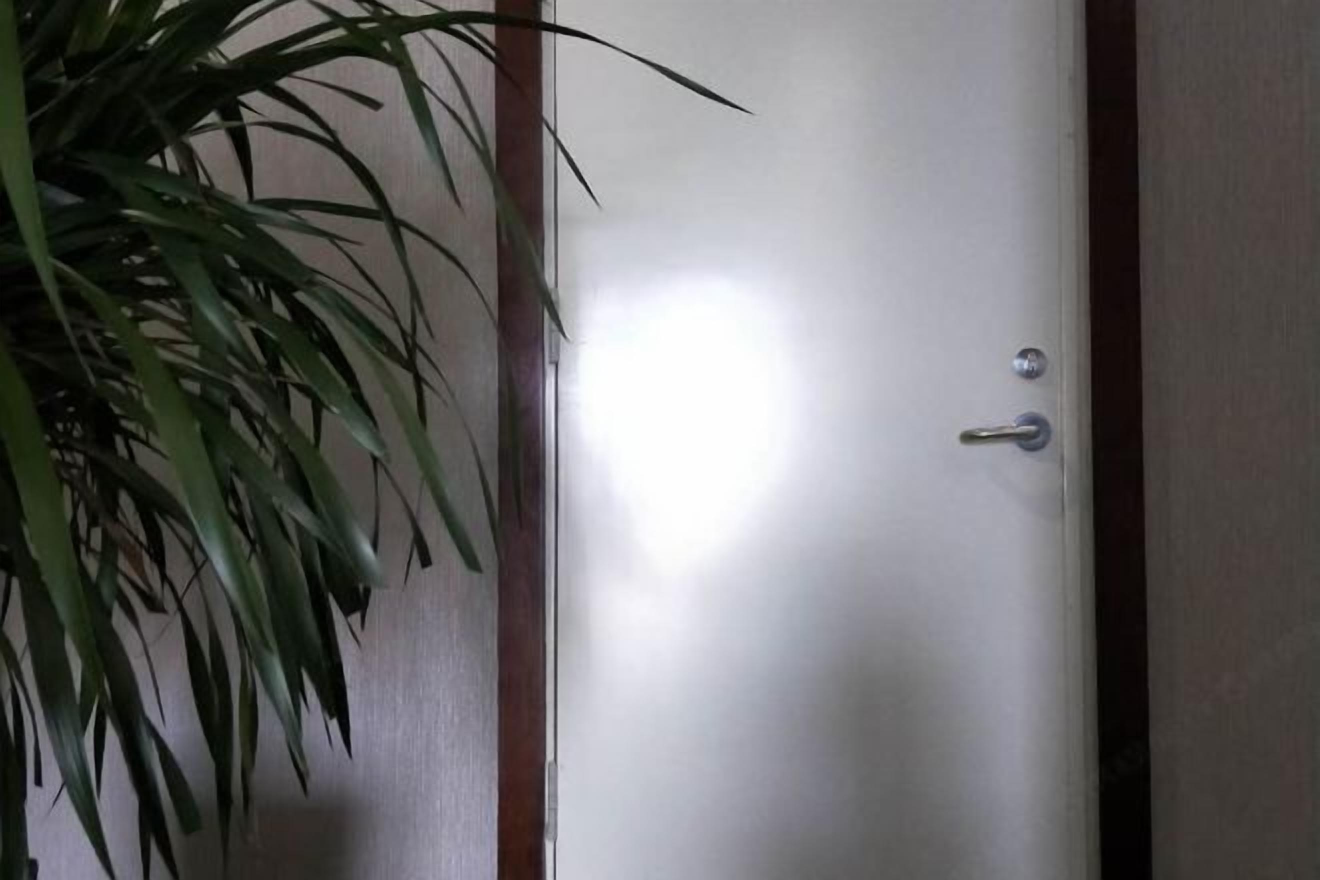 A closed door with a metallic handle and a keyhole, adjacent to a wooden frame.