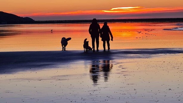 A sunset scene with silhouettes of a family and two dogs on a beach. - Modern holiday apartment for 2-4 people, free WLAN, summer/winter offers (Norden)