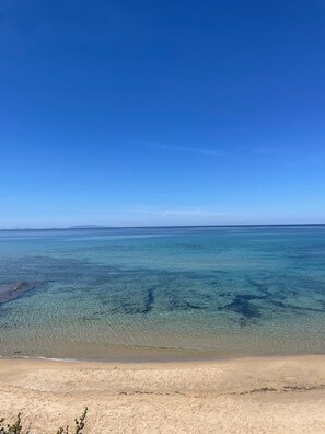 在海灘附近