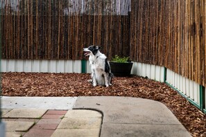 Property grounds - Ocean Grace by the River & Ocean (Pet Friendly) (Ocean Grove)