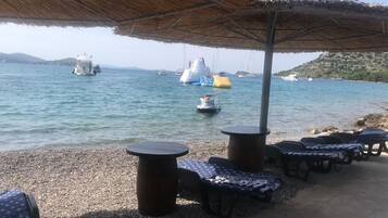 Lettini da mare