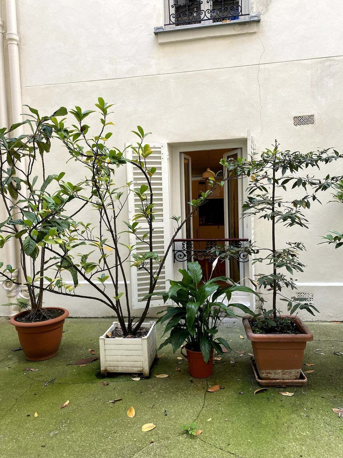 Détail de l’extérieur