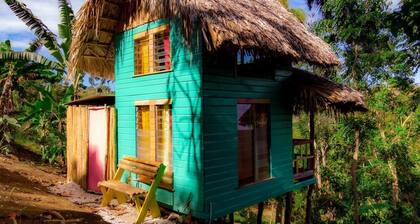 Romantic Cottages in Jamaican Hills w/ hiking trails and Fruit trees on property