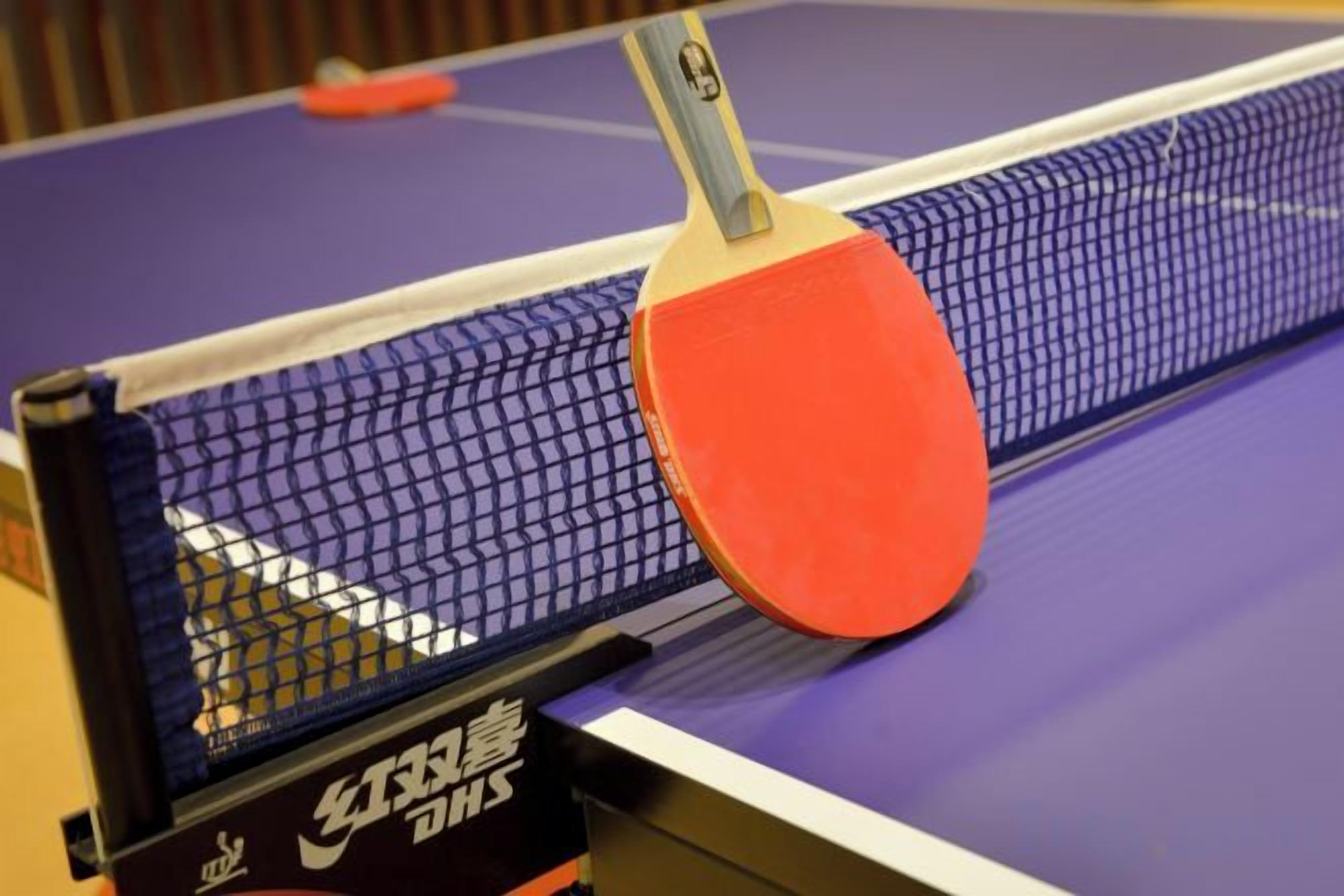 A table tennis table with a net, a paddle, and a ball.