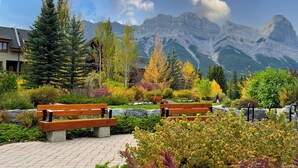 A park with benches, a stone pathway, and a mountain backdrop.