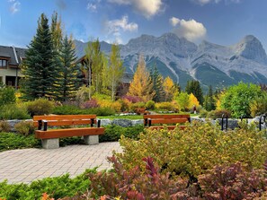 Garden - Spring Creek Vacations (Canmore)