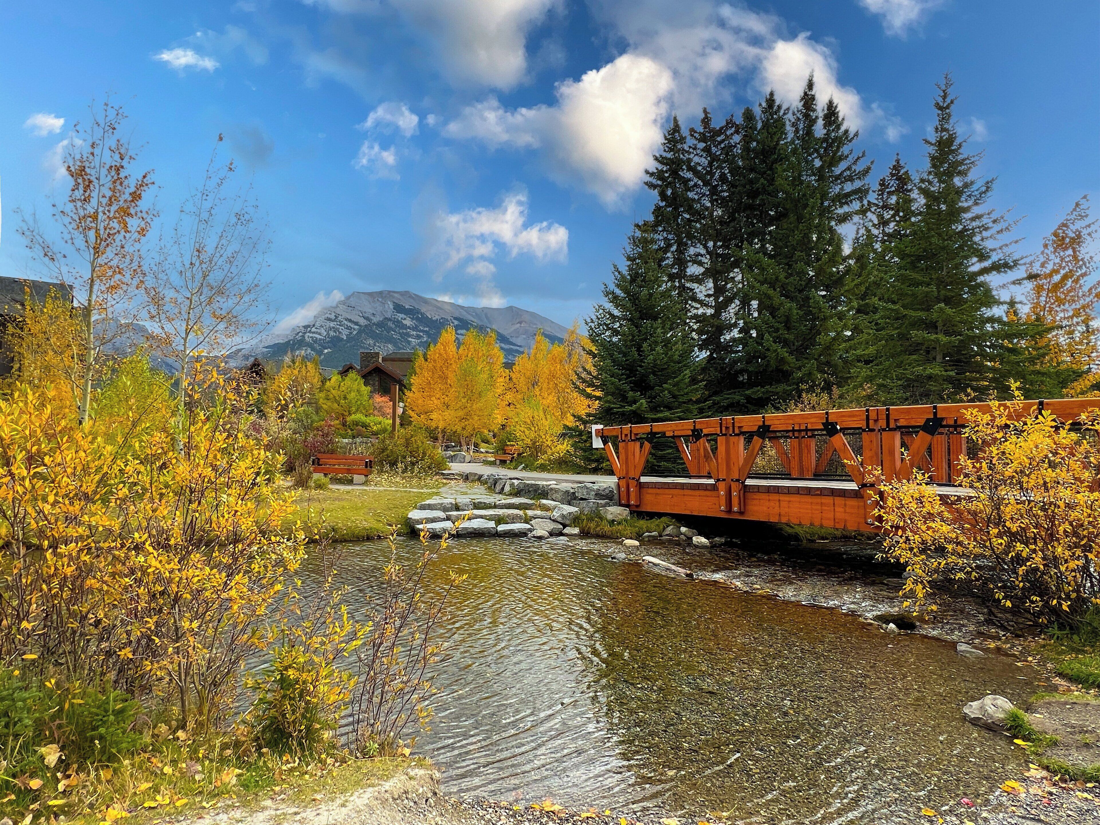 A wooden bridge over a stream with autumn foliage and a mountain in the background.