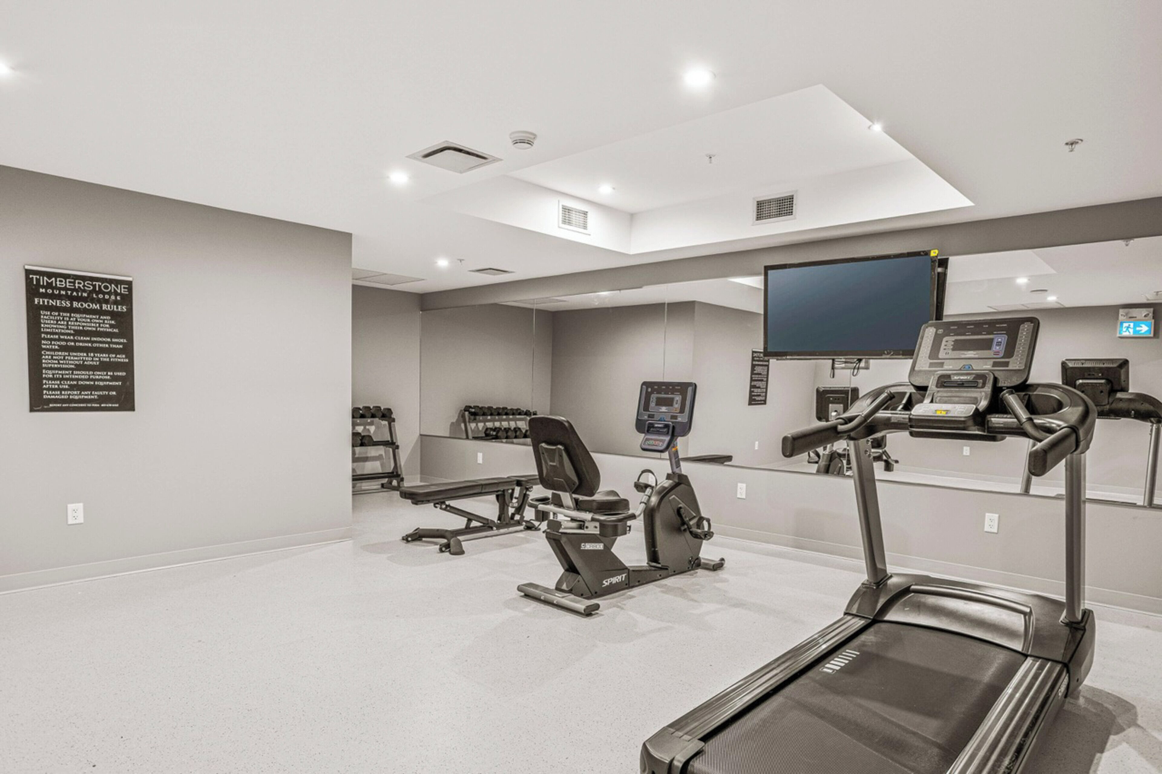 A modern fitness room with a treadmill, stationary bike, and weight bench.