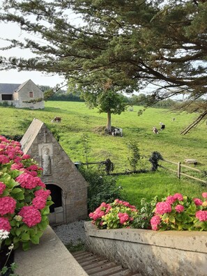Àrea exterior de l'allotjament
