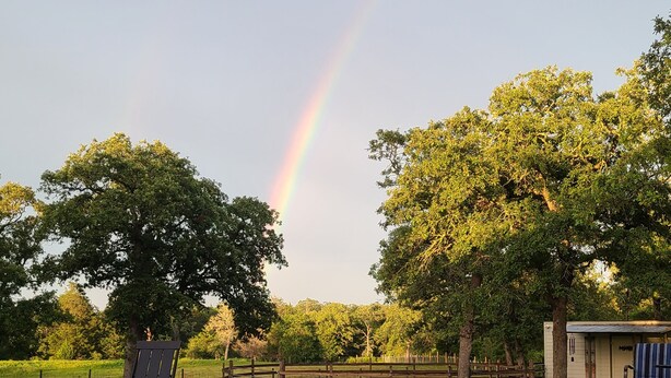 A swimming pool with a wooden deck, a lounge chair, and a wooden fence in the background. - Rustic studio country cabin w/shared pool, firepit, & outdoor kitchen (Lexington)
