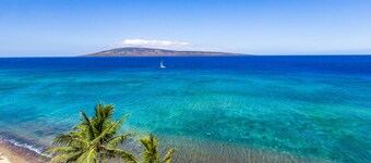 Mahana at Kaanapali, Spectacular Oceanfront, Amazing Sunsets & Sea Life Unit1014