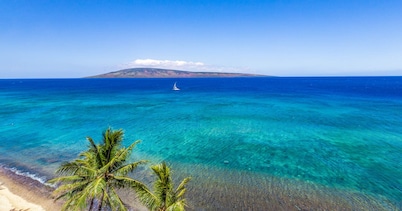 Mahana at Kaanapali, Spectacular Oceanfront, Amazing Sunsets & Sea Life Unit1014